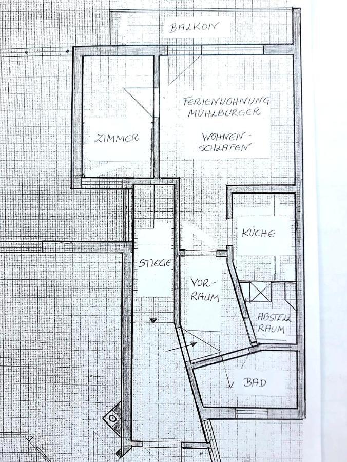 Ferienwohnung Muehlburger Lienz Exteriör bild